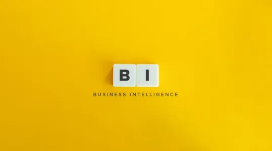 Business Intelligence(BI)