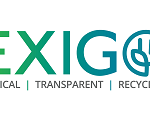 EXIG Logo